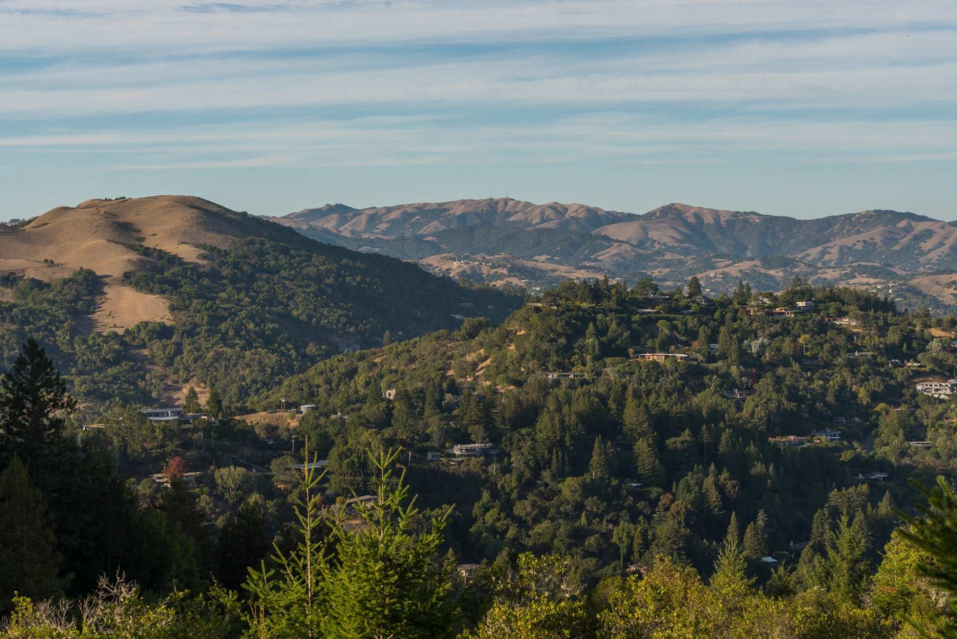 Boulevard Real Estate Marin County Real Estate