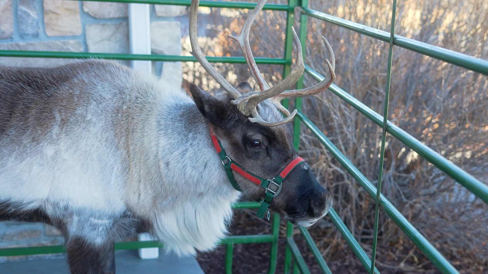 Santa Visits The Northrop Group