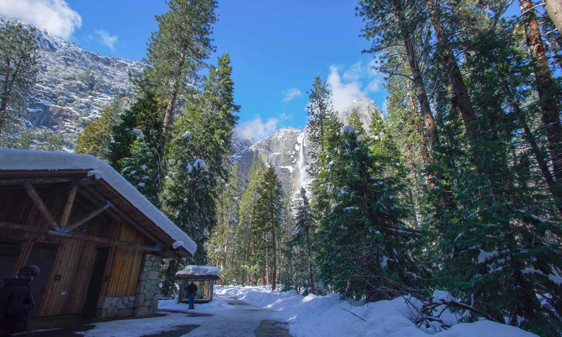 Buy and Sell in Fish Camp Stars and Stripes Realty