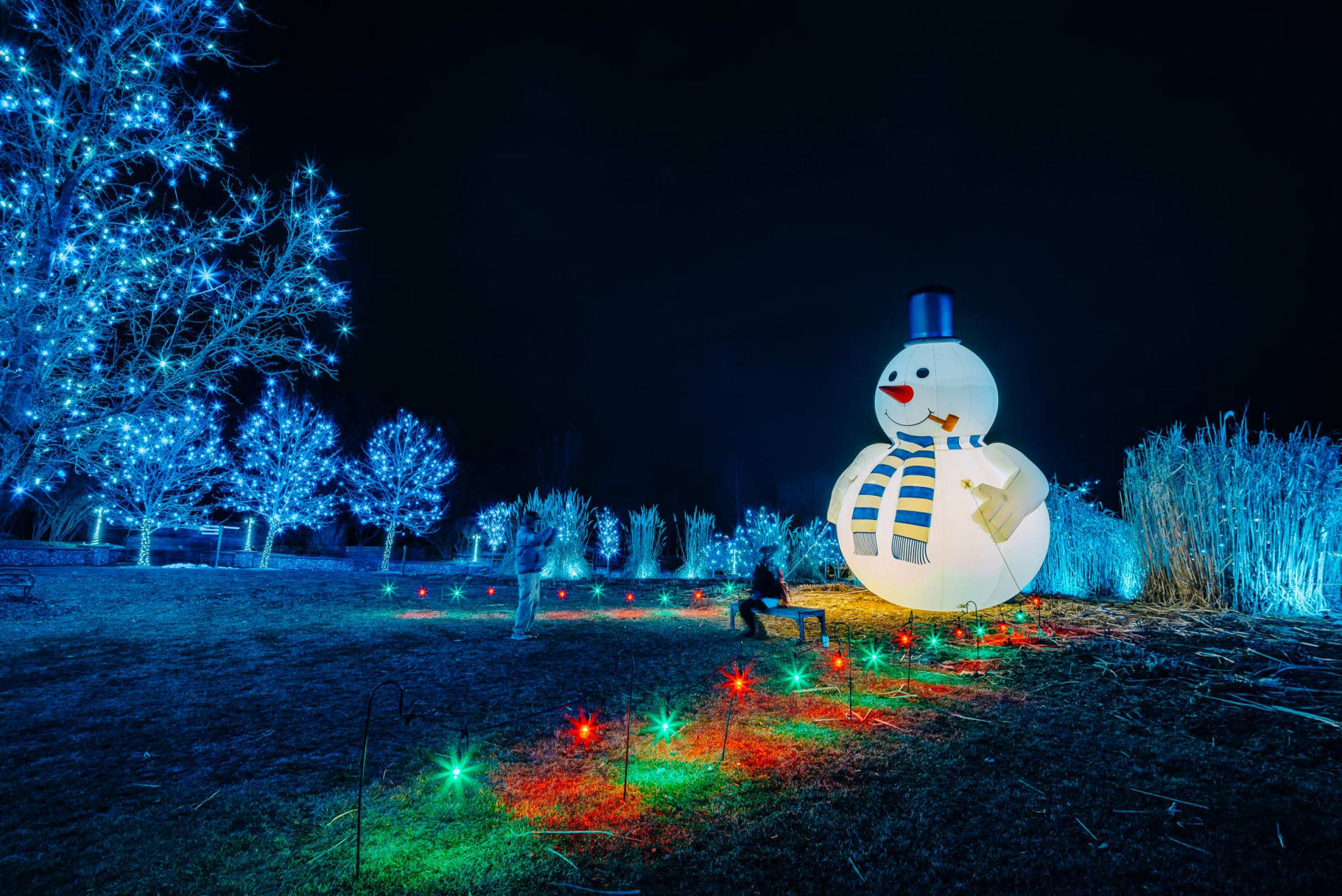 2022 Christmas and Holiday Events - Denver, Colorado - Hudson Gardens