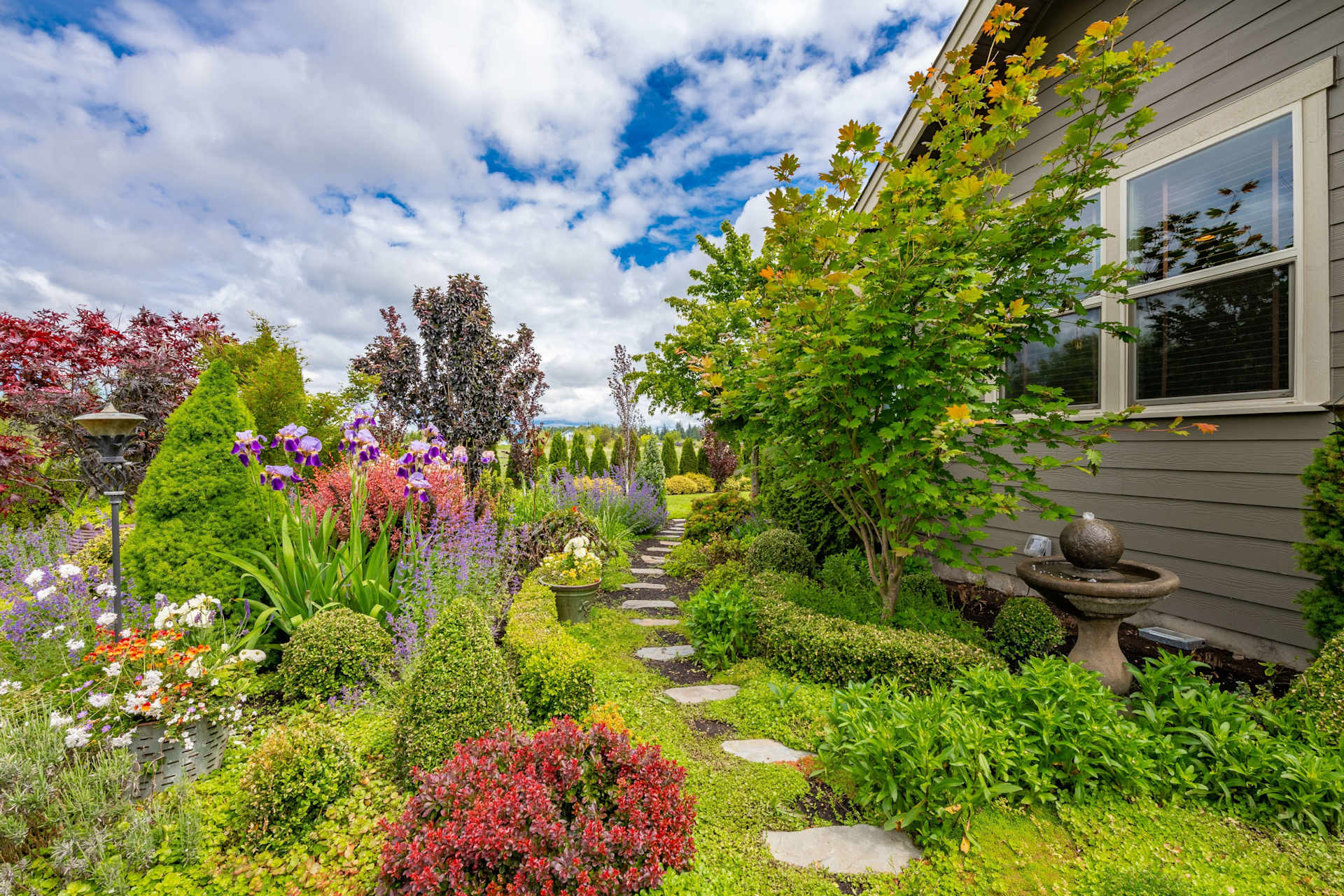 Buyers & Sellers Seattle Results Seattle Real Estate Experts