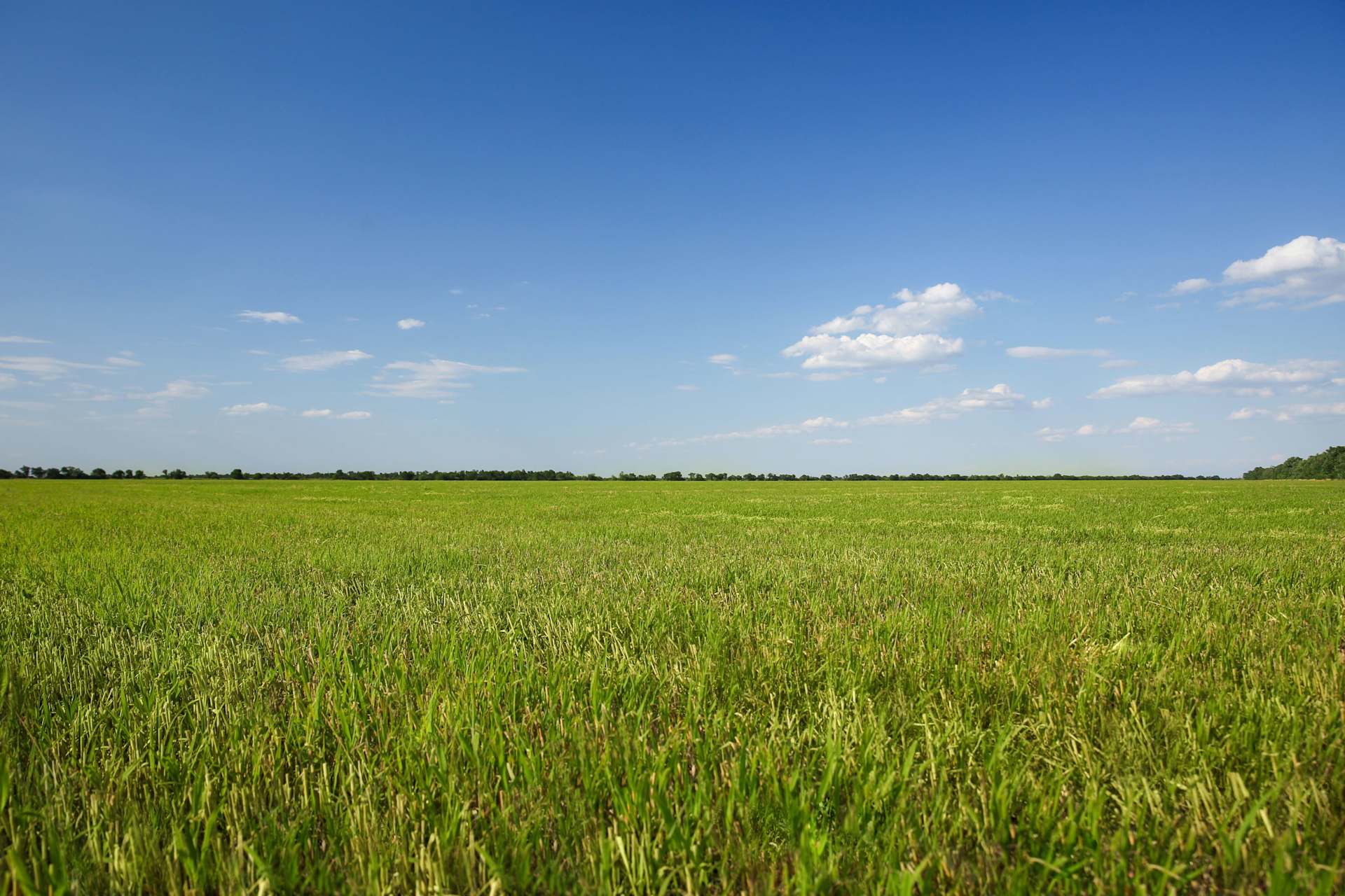 Michelle Englert | Compass Ranch & Land