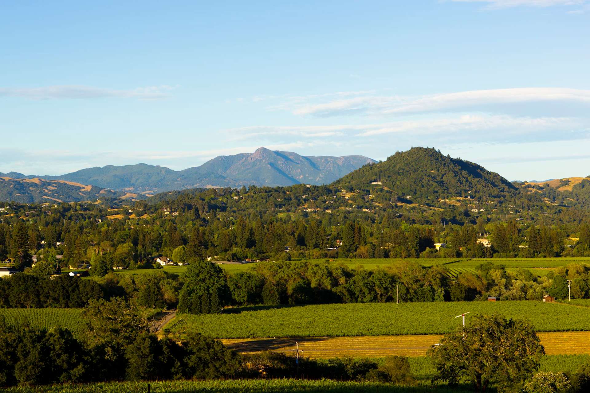 Healdsburg Real Estate Healdsburg Commercial Real Estate