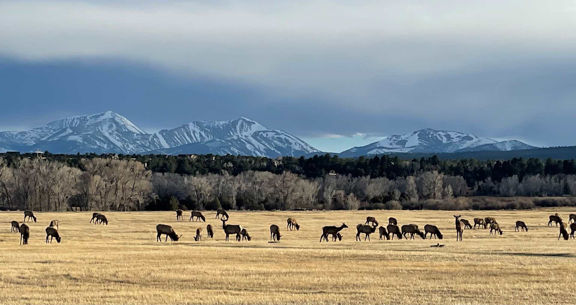 First Colorado Land Office Buena Vista Team