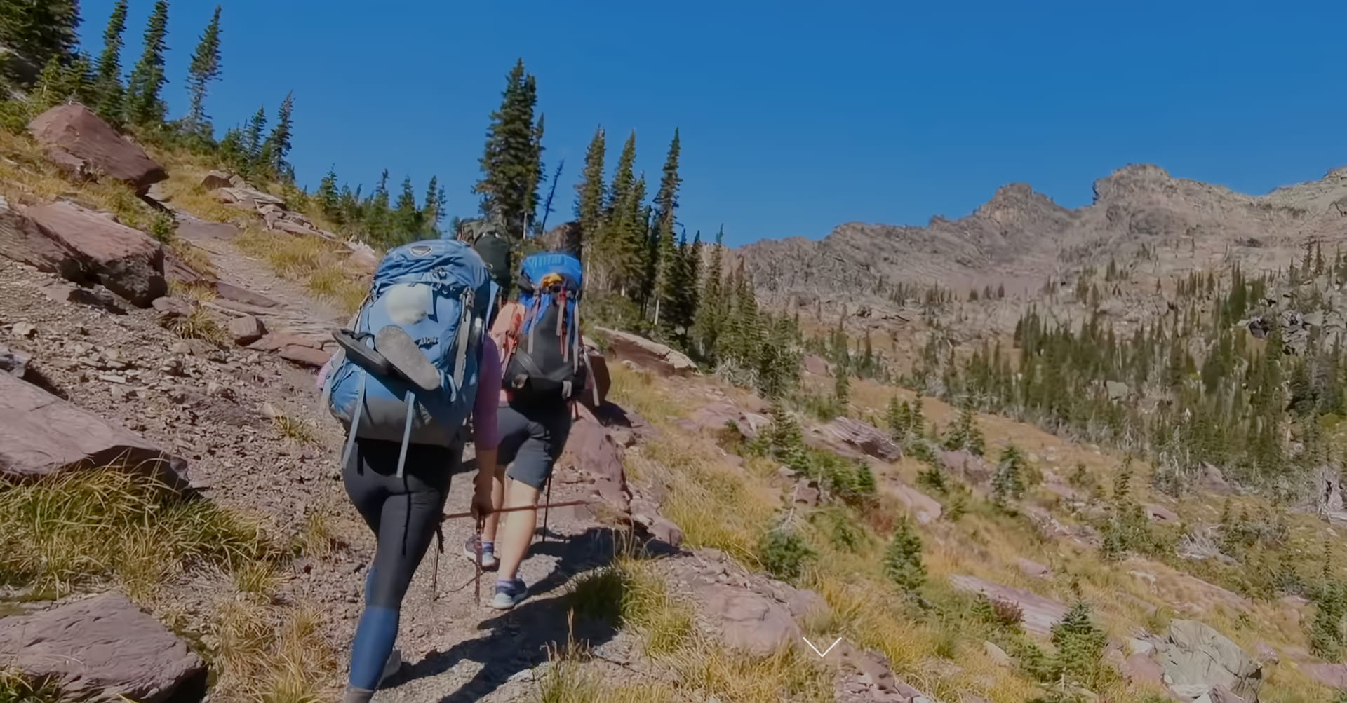 National Parks Realty Northwest Montana Real Estate Agents