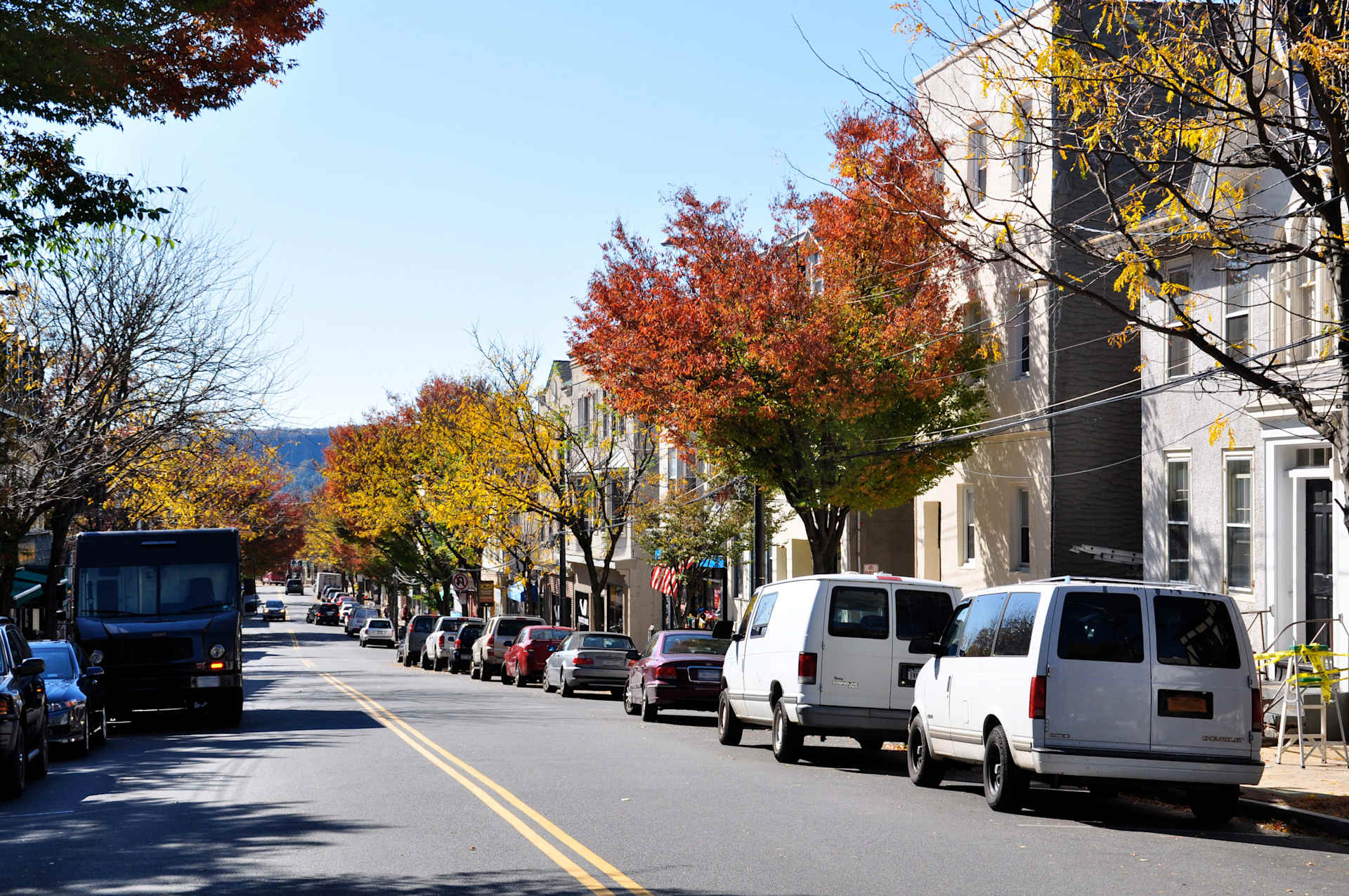 Wendy Holt Ardsley Real Estate Expert
