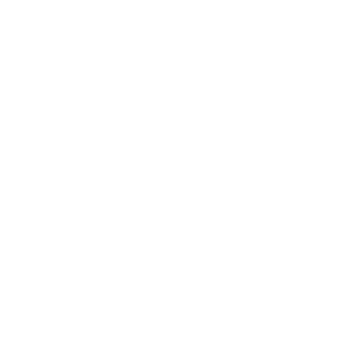 Stoeber Agency White Logo