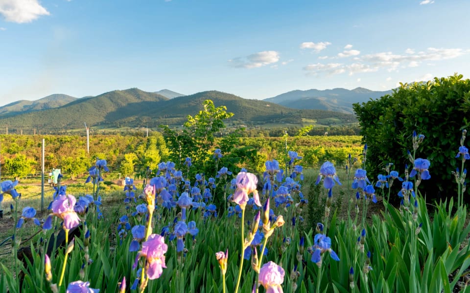 White City Oregon Real Estate Homes in White City Oregon