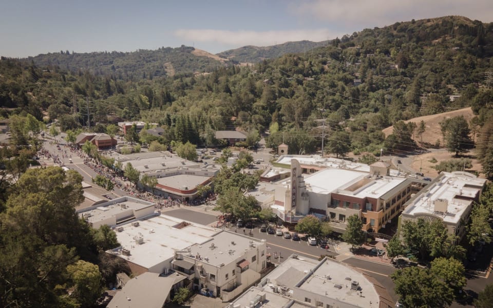 Which Orinda Neighborhood Is Right for You? Paddy Kehoe