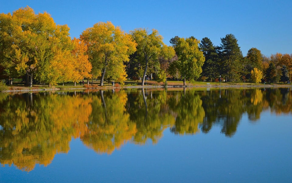 In My Backyard Renton Blog Heidi Nevin Mercer Island Real Estate 