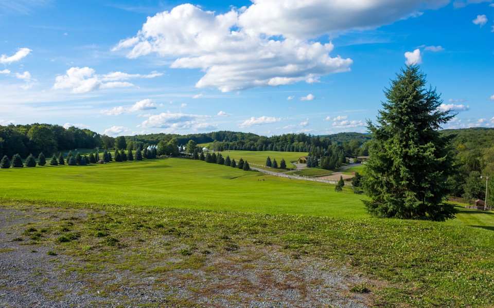 Woodstock Area Guide