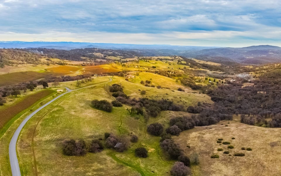 Safari Estates at Pilot Hill Denise Dascallos