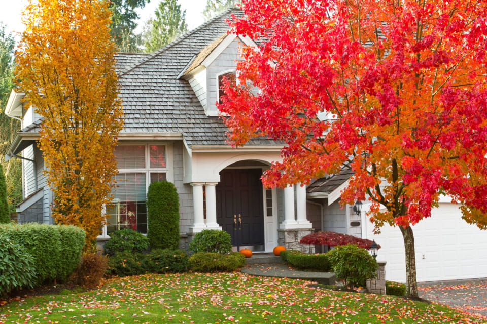 Fall Planting With Myles Brown Manager