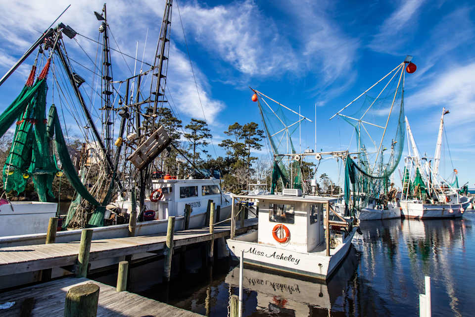 Sneads Ferry Community Guide