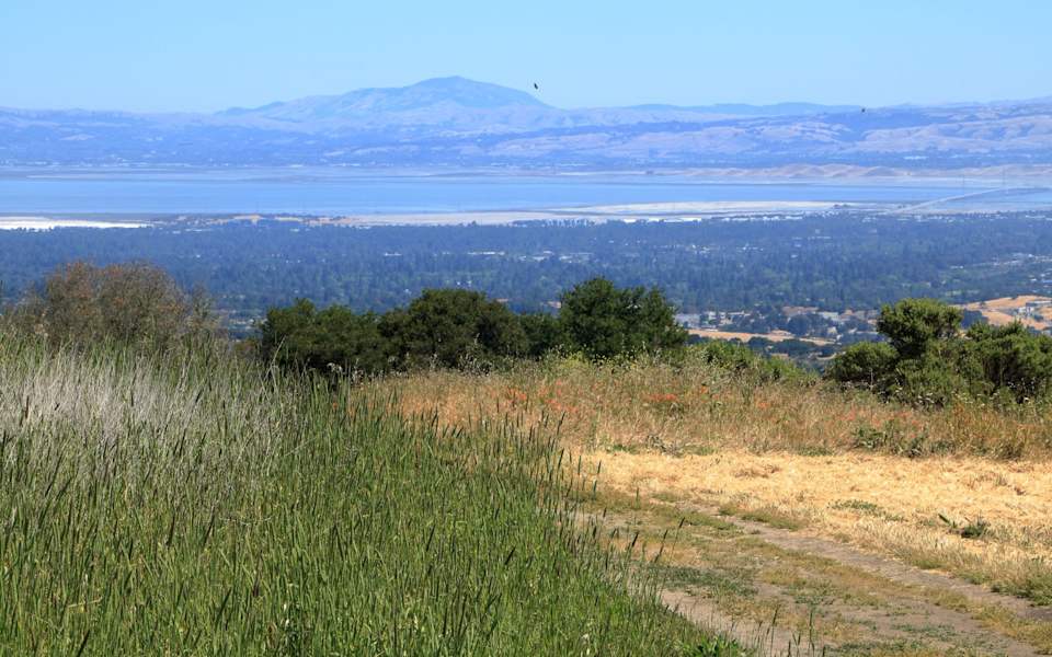 Portola Valley Area Guide Gina Haggarty Group