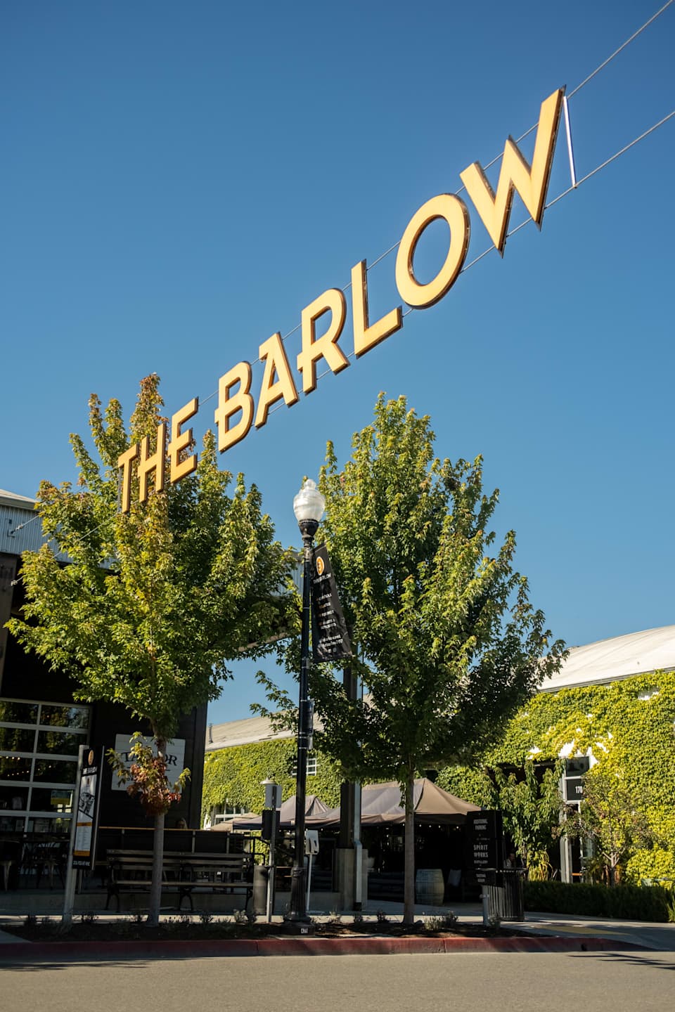 Neighborhood Sebastopol Petaluma Real Estate Agents