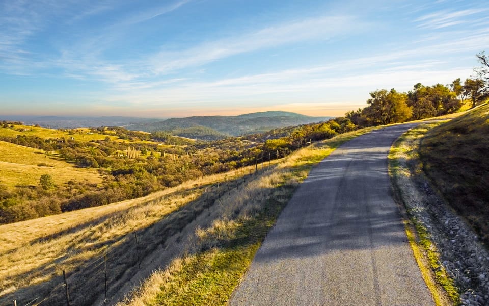 Safari Estates at Pilot Hill Denise Dascallos