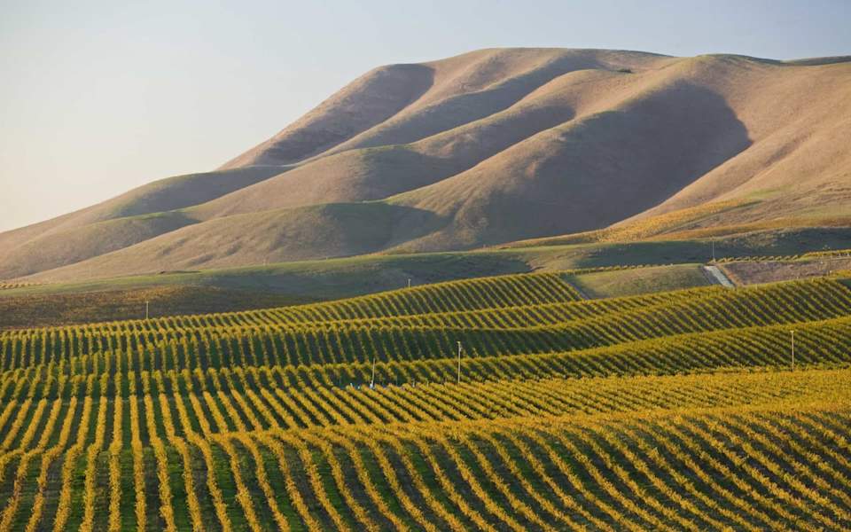 Santa Maria Homestead Real Estate