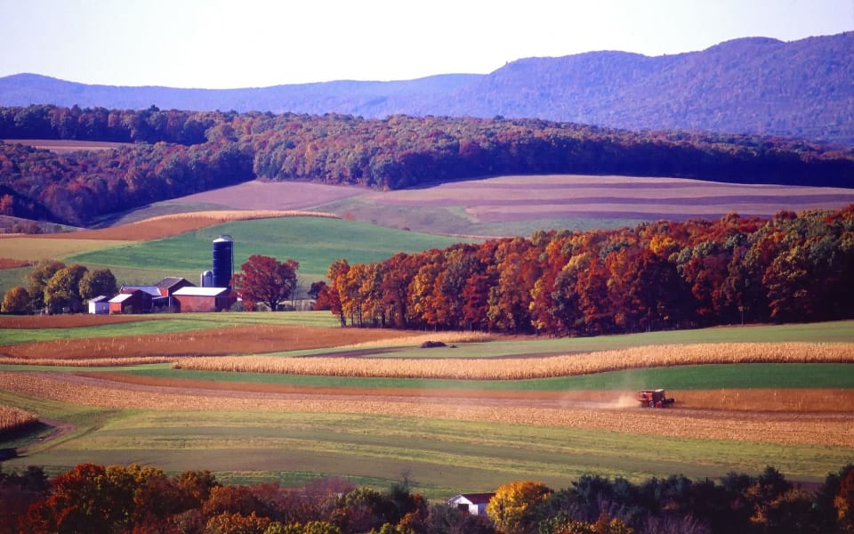 Penn Township Neighborhood Guide Jen Mascaro Team Pennsylvania