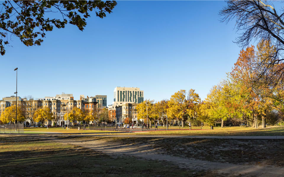 Fenway, Boston Neighborhood Guide - Nooklyn