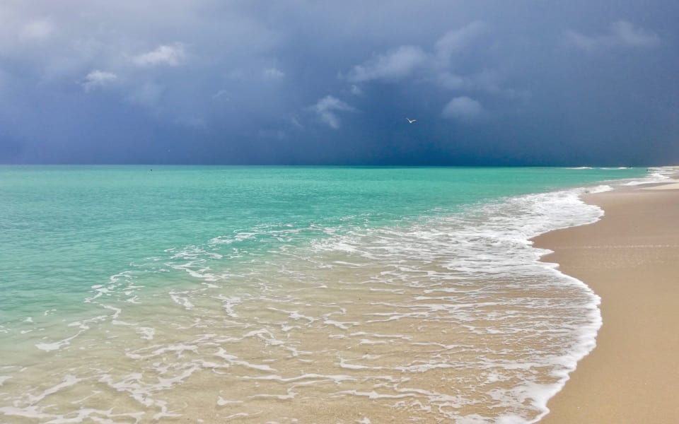 Manalapan Real Estate Area Guide Manalapan Homes for Sale