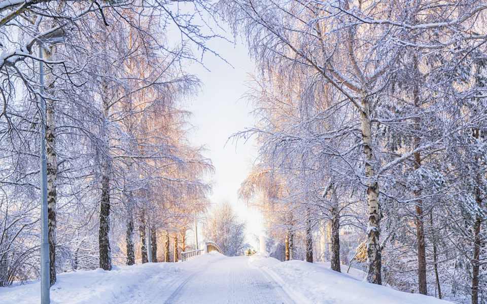 Weston Community Guide