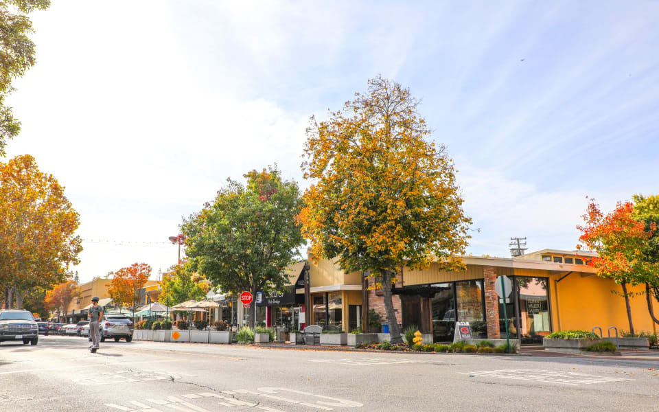 Menlo Park Neighborhood Guide The Anagnostou Team