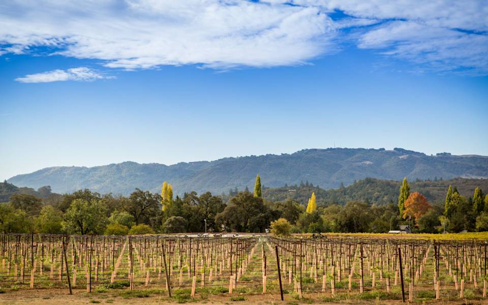 Kenwood Real Estate Neighborhood Guide