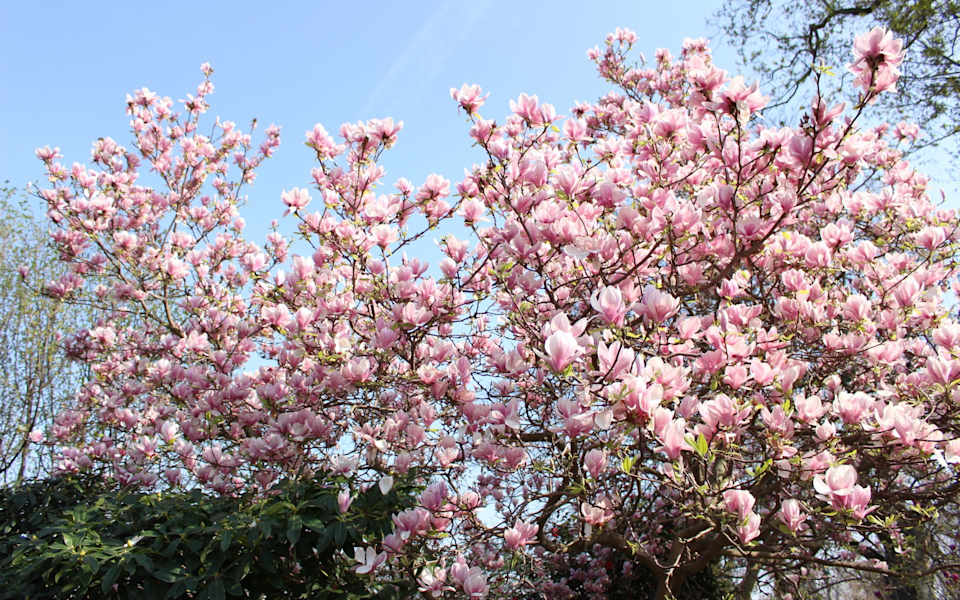 Kingstowne Neighborhood Guide Metro House