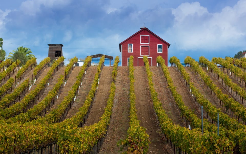 Healdsburg Real Estate Community Guide Ann Amtower Ann Amtower