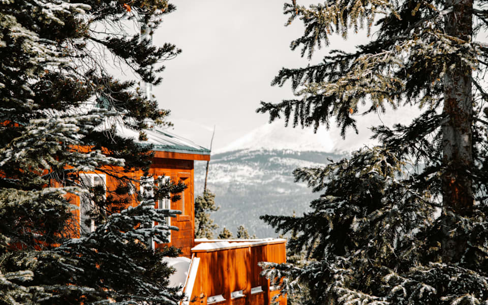 A Glimpse into the Lap of Luxury Celebrity Homes in Black Forest, CO