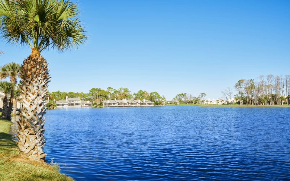 Queens Harbour, FL Neighborhood Guide RhinelanderTarantino Longboat Key Real Estate Team