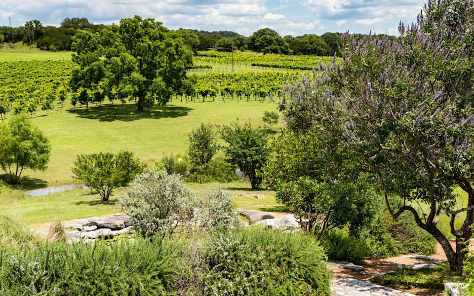 Grapevine, TX Neighborhood Guide Silva