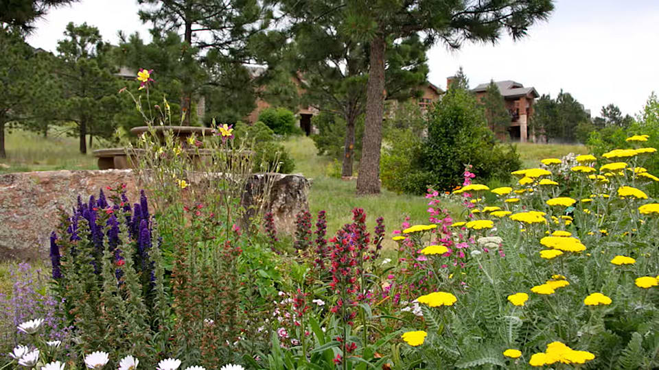 Neighborhood The Summit