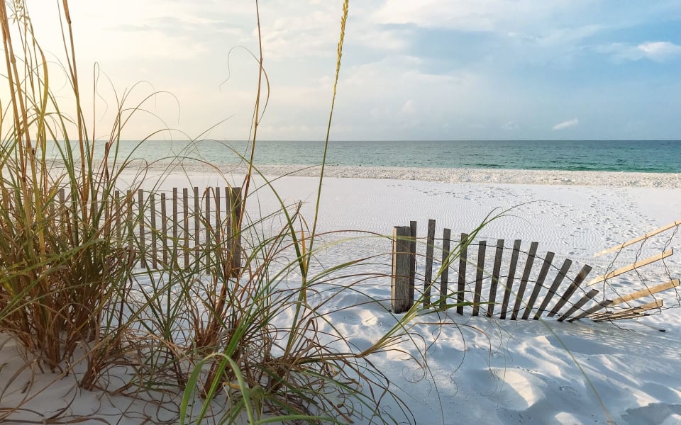 Stone Harbor Real Estate Neighborhood Guide Steve Soldatovic Realtor in Stone HarborSteve