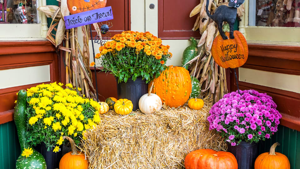 2022 Halloween Happenings + Decorating Tips