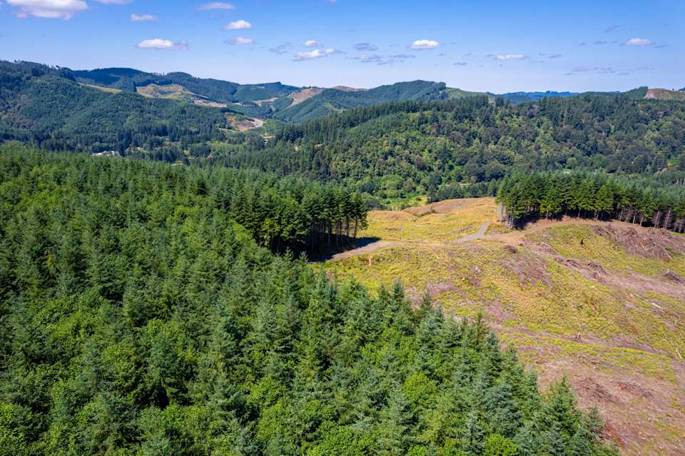 Eddyville/Sam's Creek Sealed Bid Offering (No Published Reserve)