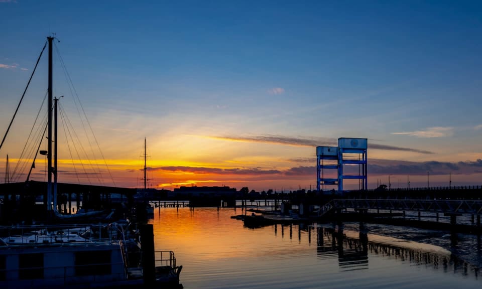 Mare Island Cultivate Real Estate