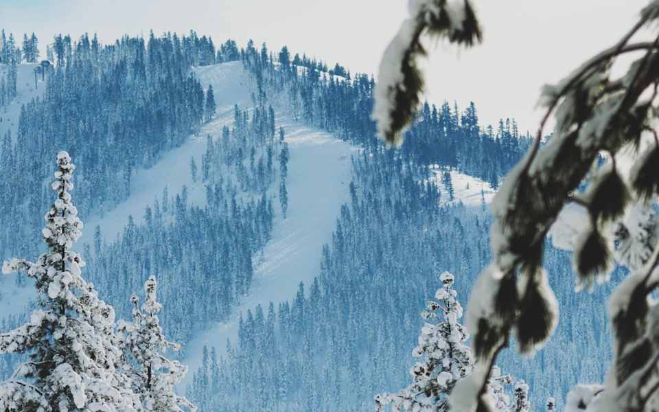 Schaffers Mill | Neighborhood Guide | Home & Slate Real Estate