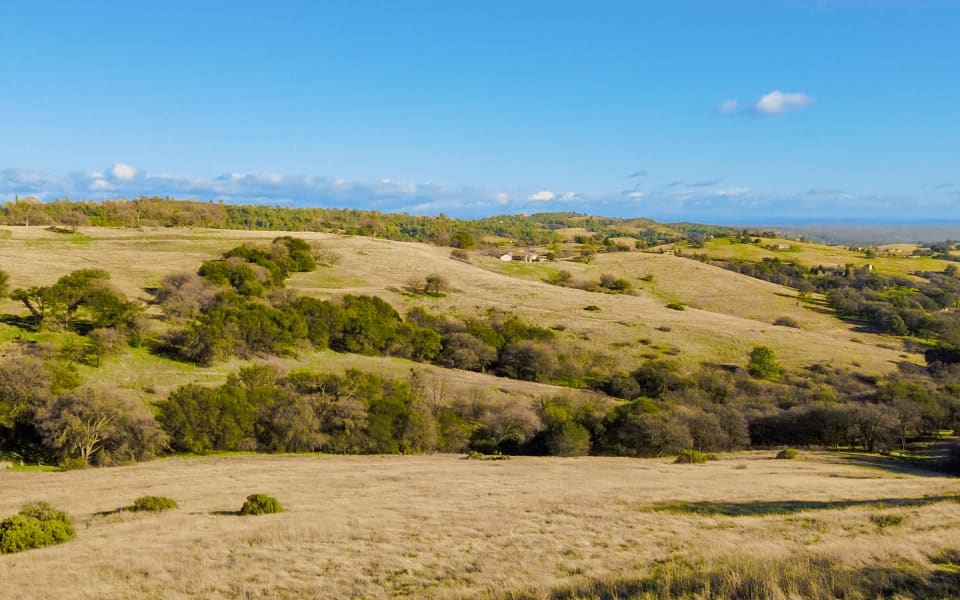 Safari Estates at Pilot Hill Denise Dascallos