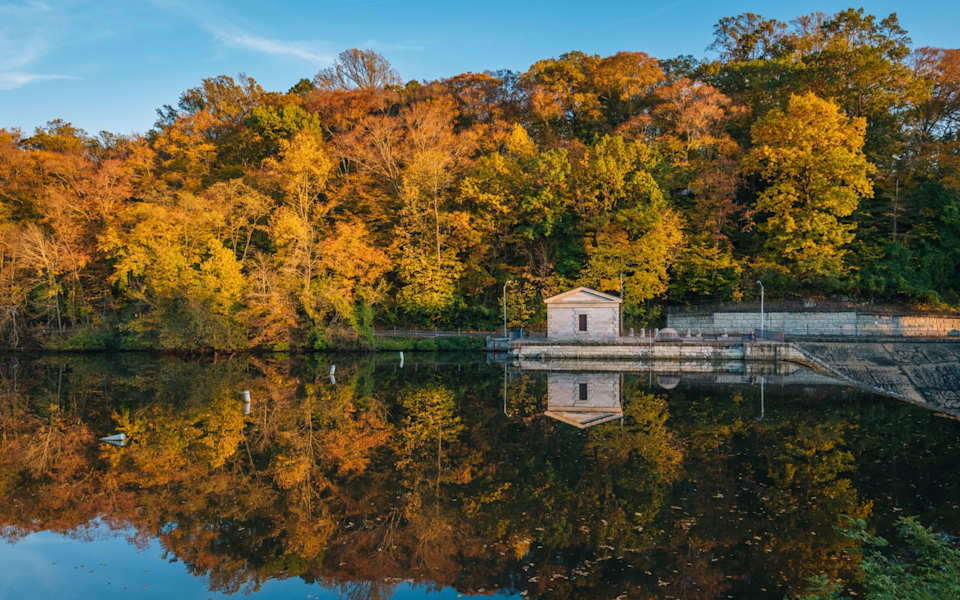 Roland Park Neighborhood Guide