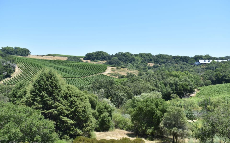 Geyserville Community Guide Gabe Duran