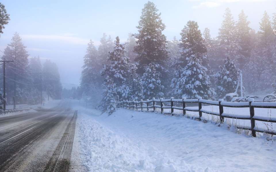 Nelson / Peoh Point / Elk Heights Neighborhood Guide