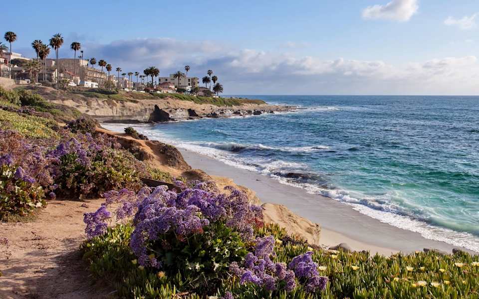 Laguna Beach Neighborhood Guide
