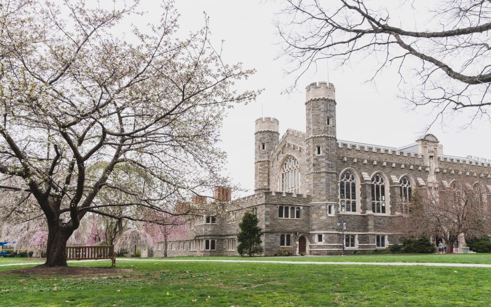 Bryn Mawr Neighborhood Guide Trish Dantis Real Estate Team