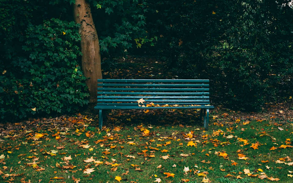 A Guide to Lakeway, TX, Parks Blog Foreman Property Group FOREMAN