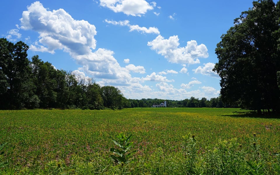 Lower Makefield Real Estate Homes in Lower Makefield, PA