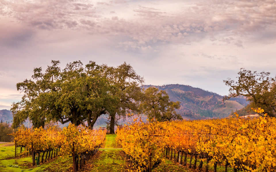 Kenwood Neighborhood Guide