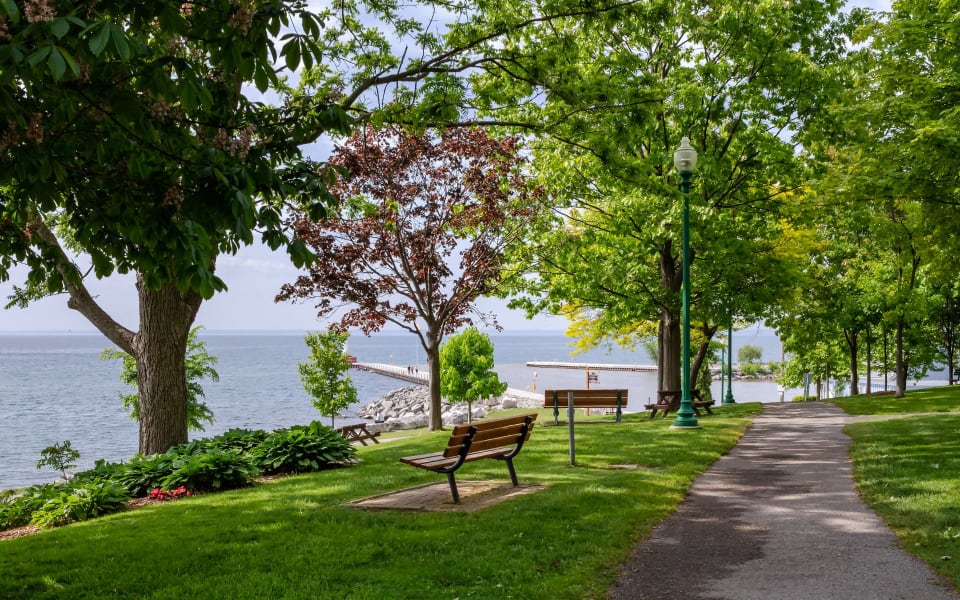 Neighbourhood Oakville