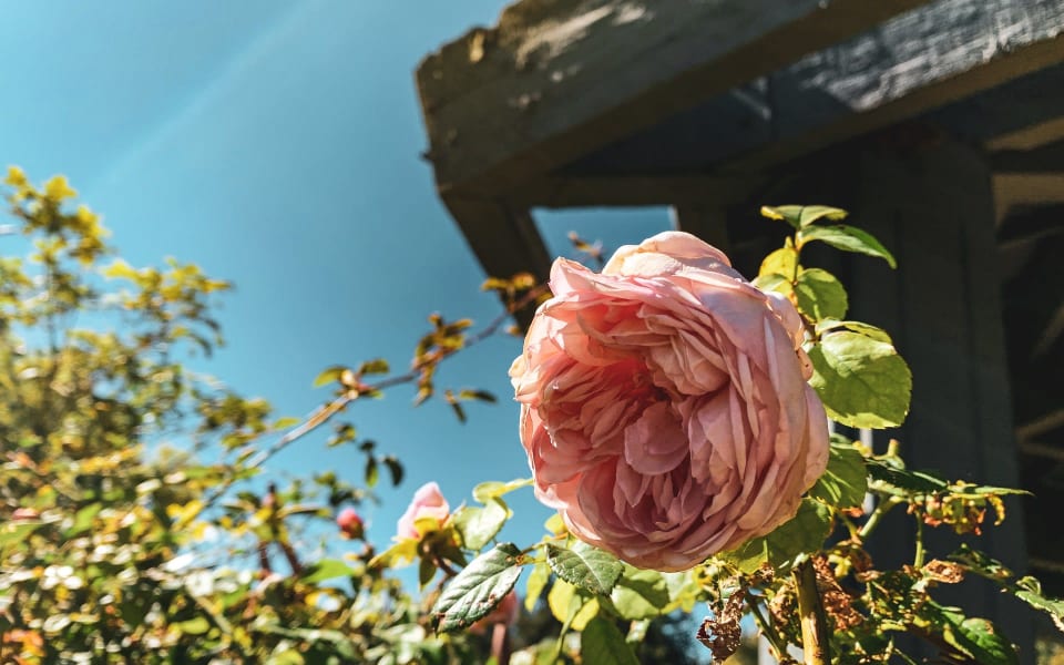 Carbondale Real Estate Homes for Sale in Carbondale, CO